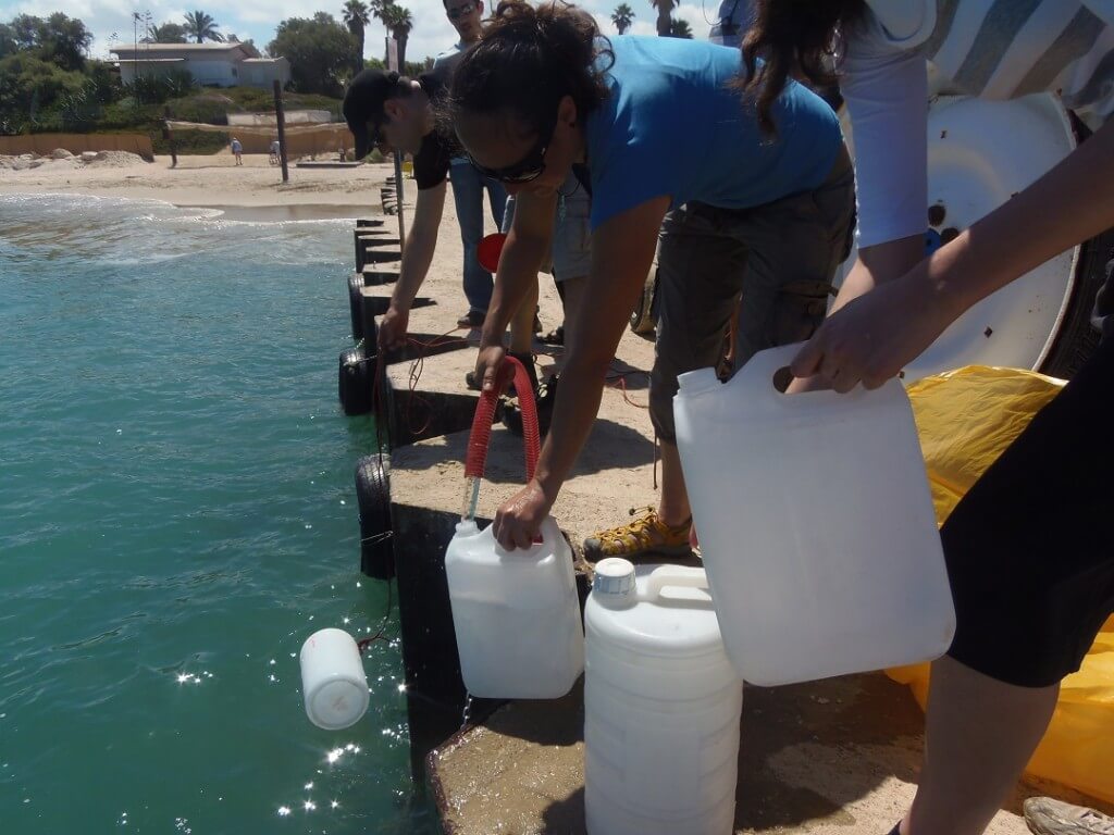 חוקרים מכל העולם אספו דגימות וערכו מדידות ב-167 מקומות שונים. בתמונה החוקרים הישראלים בדיגום החופי שנערך בשדות ים. צילום: 