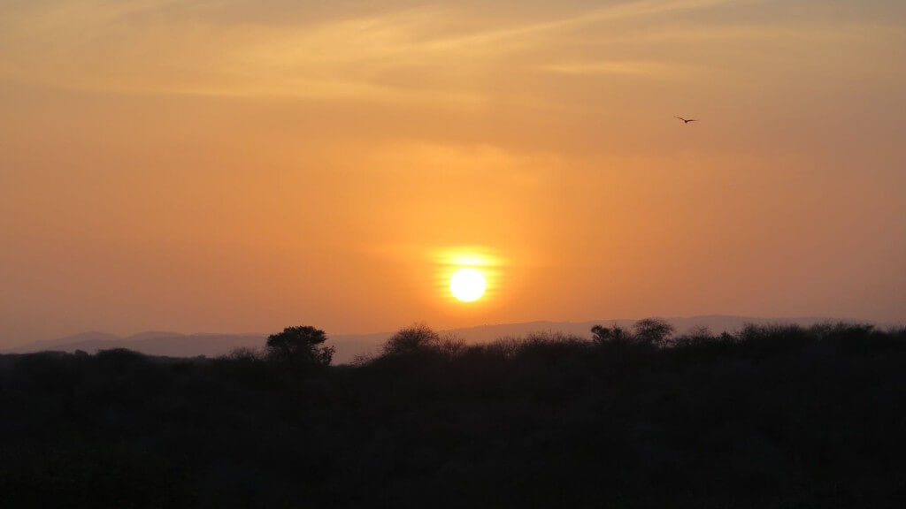שקיעה במפאלה, קניה. צילום: נועם יוסף