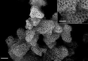 בתמונה: ספוג סיליקון סופח פחמן כפי שהוא נראה במיקרוסקופ אלקטרונים סורק. קנה המידה בצילום הגדול הוא 200nm ובקטן 100nm. צילום: Genggeng Qi, Liling Fu & Emmanuel P. Giannelis 
