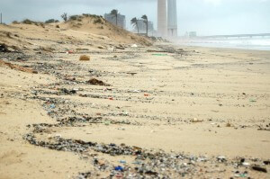פסולת שנשטפה אל החוף מהים. תצלום: ארבל לוי