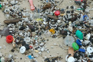 פסולת פלסטיק שנשטפה אל החוף מהים התיכון. תצלום: ארבל לוי