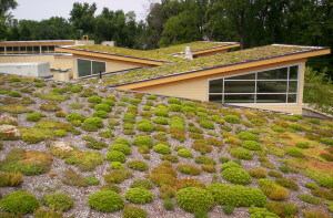 חקלאות עירונית על גגות מבנים עדיין לא נפוצה בישראל. צילום: Arlington County, flickr