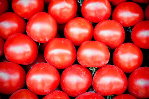 בגלל פגעי מזג האוויר עלו מחירי העגבניות בישראל בצורה דרמטית. צילום: ohad*, flickr