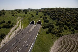 גשר ירוק מעל כביש 6. צילום: צופית תור, ויקיפדיה