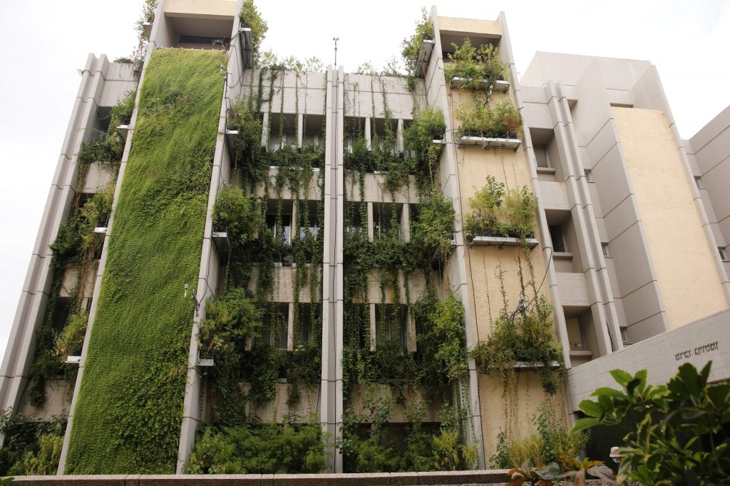 Can Plant-Covered Buildings Cool Things Down?  Zavit