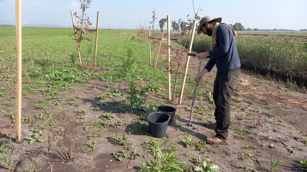 Soil examination of buffer strips under construction. Photo: Liron Israeli