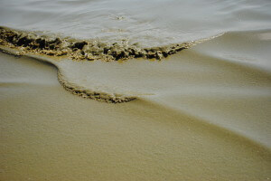 פריחת אצות היא אחת מתוצרי פעילות האדם ביבשה שמגיעים אל הים. צילום: AllieKF, flickr