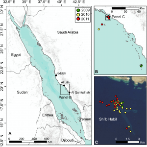 האזור שבו נערך המחקר בים האדום, סמול חופי ערב הסעודית. מקור: ESRI, AND, USGS, TANA. doi:10.1371/journal.pone.0103536.g001