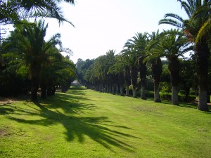 הגן הבוטני במקווה ישראל. צילום: ד"ר אבישי טייכר, ויקיפדיה