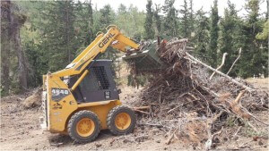 שיקום היערות דורש כניסה לשטח של כלי עבודה כבדים, אלא שהנזק שהם גורמים לקרקע עלול להיות גדול יותר מהתועלת שלהם. צילום: באדיבות יהל פורת