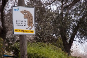 לעתים החינוך עובד, ואחת הדוגמות המוצלחות בישראל היא הקמפיין לאיסוף צואת כלבים. צילום: David King' Flickr