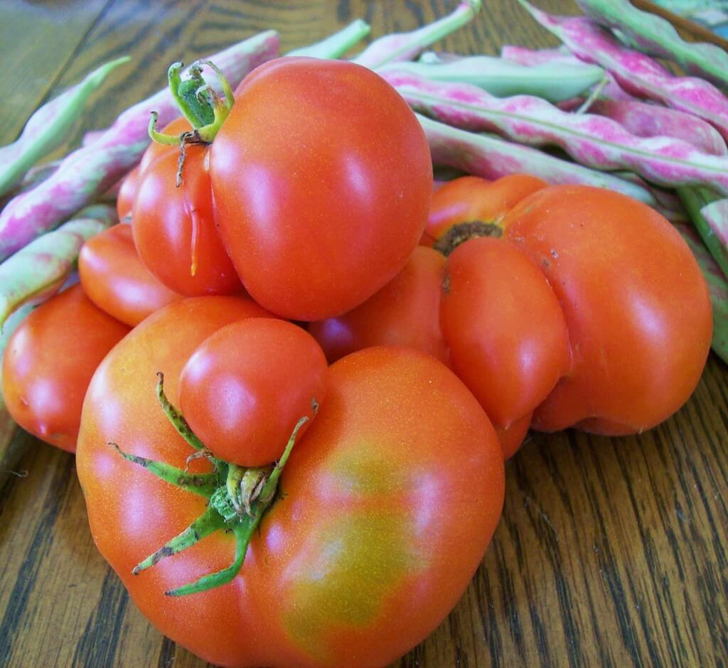 הייתם קונים עגבניות כאלה? צילום: Sarah R, Flickr