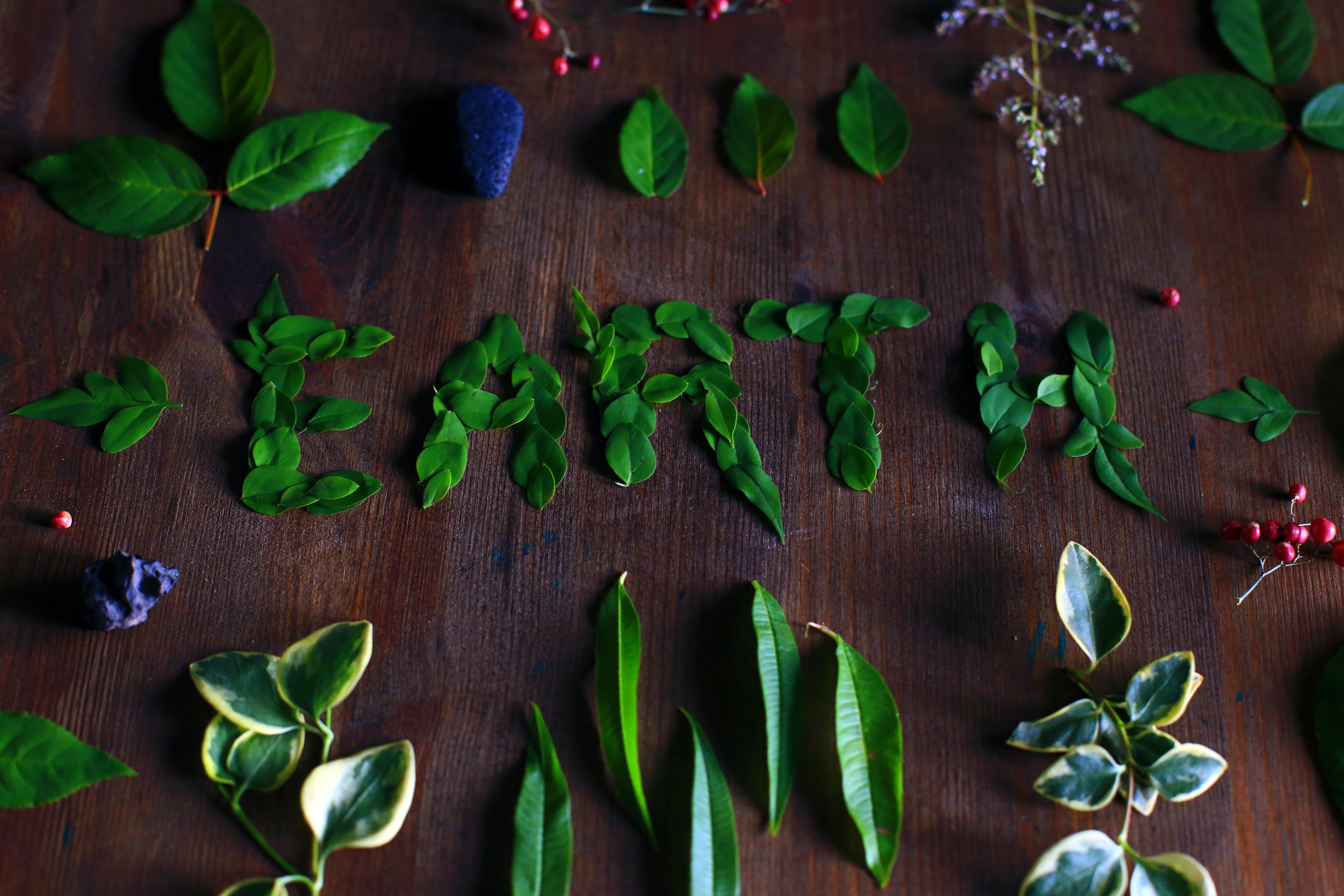 I made an Earth lettering inspired by nature.If you like what you see, you can follow me on Instagram @MiriamespacioThanks!