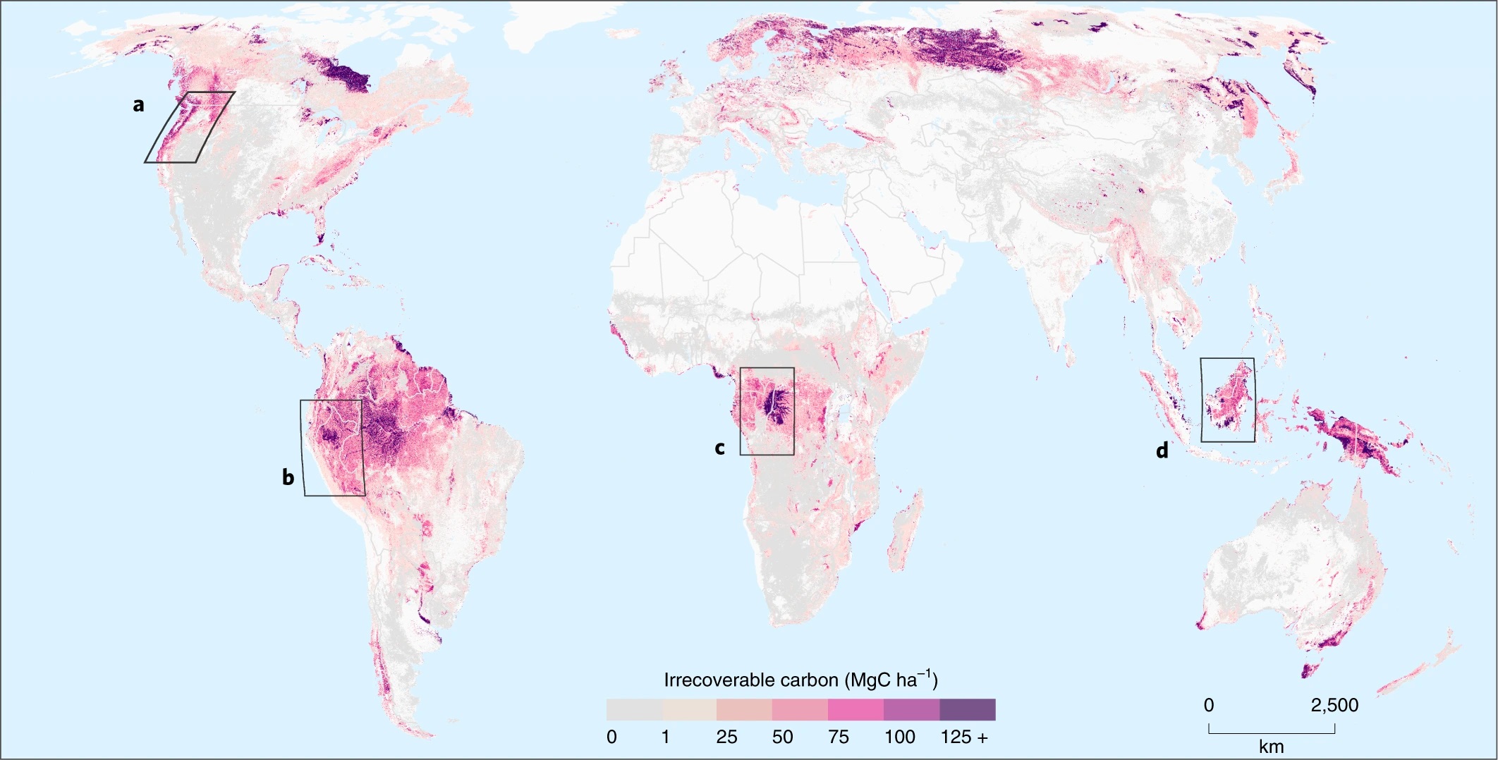 Irrecoverable carbon in Earth’s ecosystems