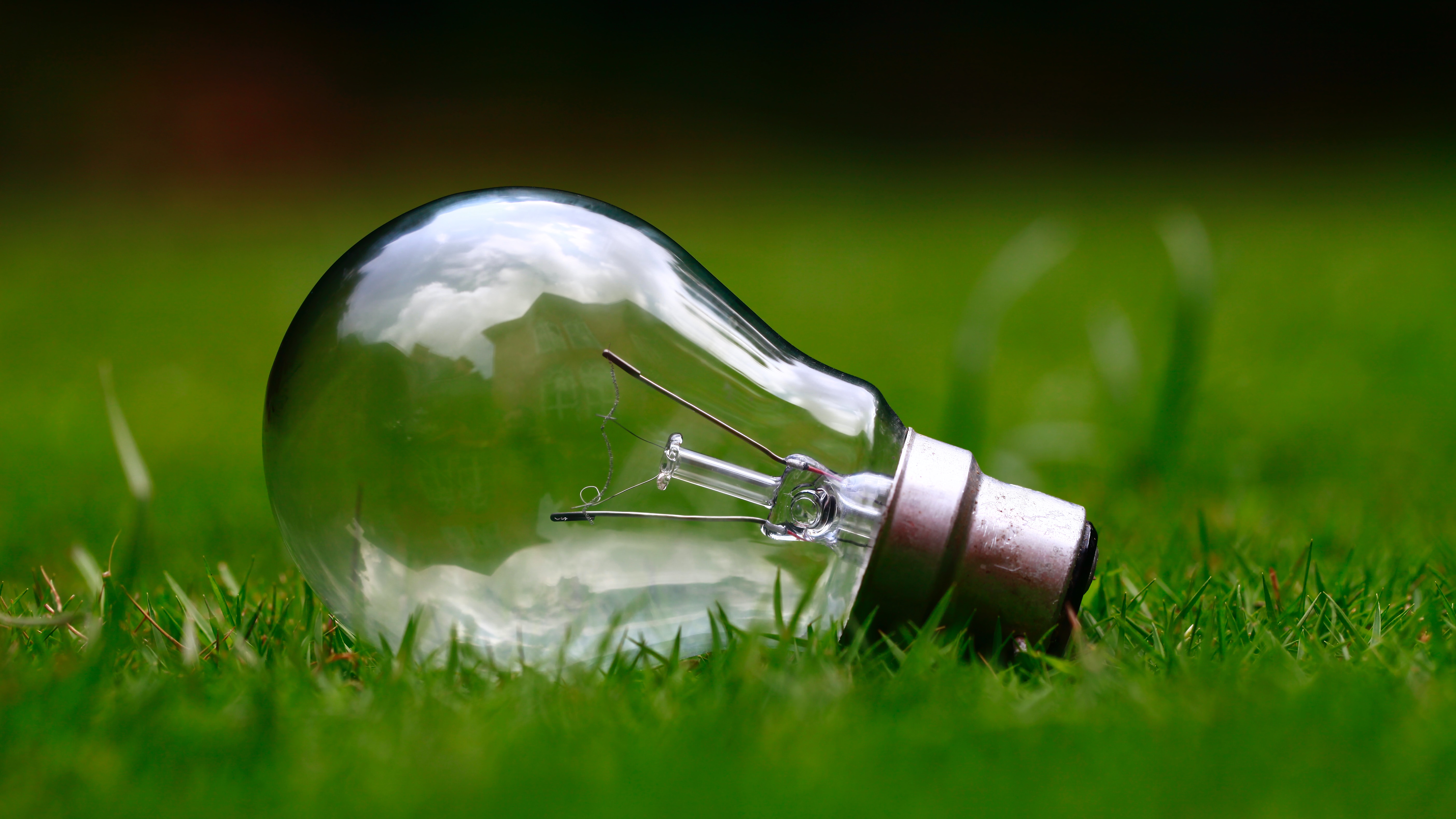 Light bulb on green grass