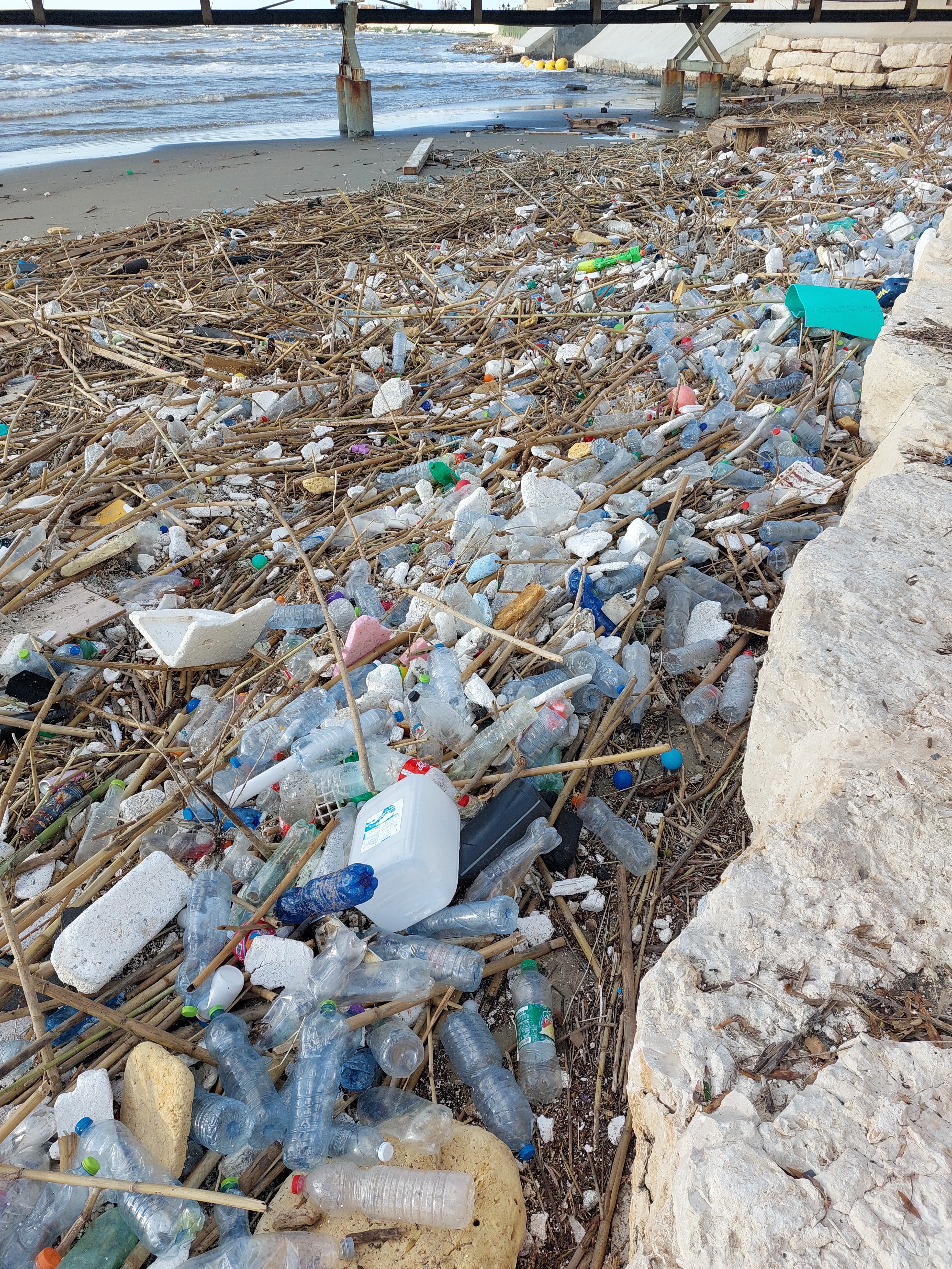 פסולת פלסטיק בירקון לפני כשבועיים וחצי. צילום אוולין אנקה 3