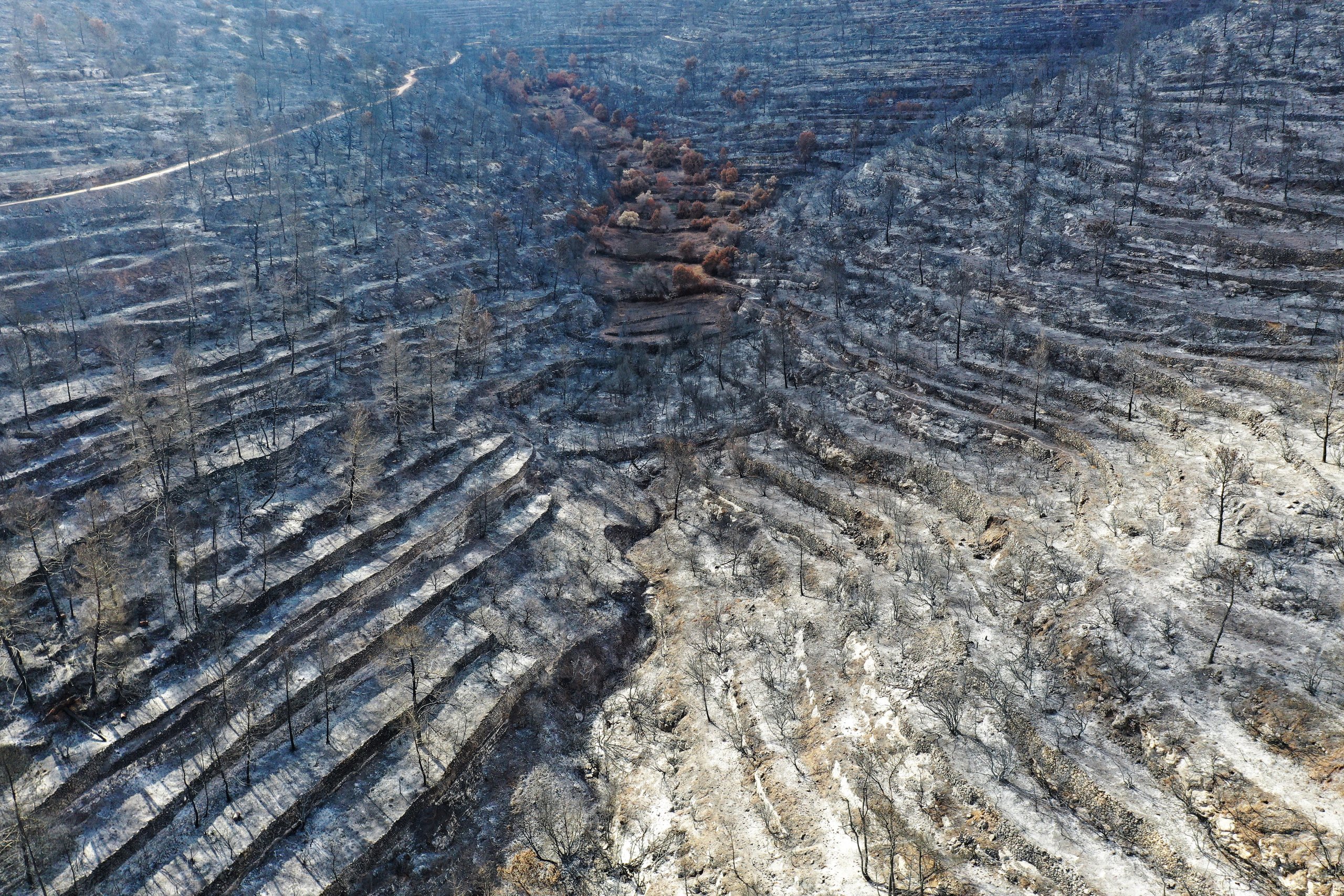 שטח טרסות שנשרף בעוצמה גבוהה מאוד מצפון-מזרח לרמת רזיאל. צילום כאמל עליאן, קק''ל