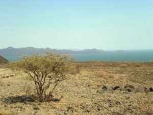 Lake_turkana, AdamPG, CC BY-SA 3.0