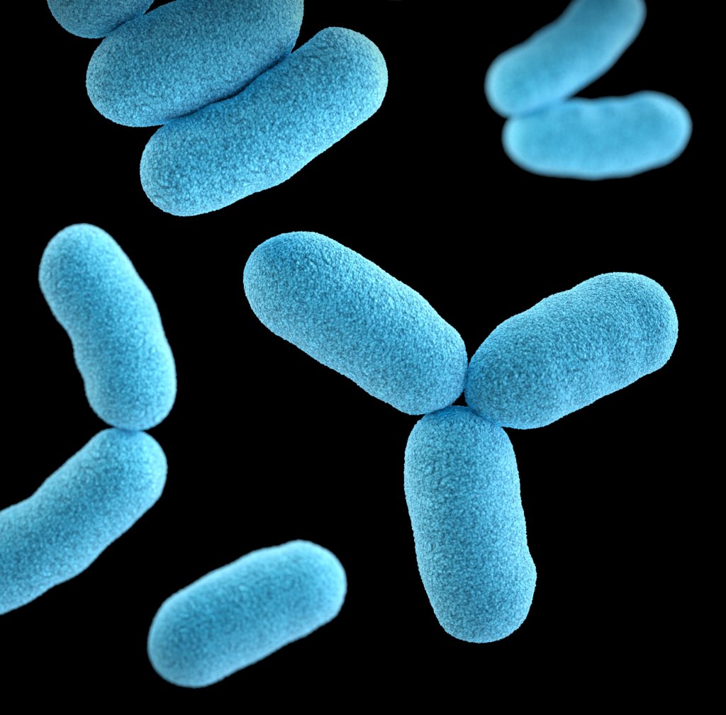 This illustration depicted a three-dimensional (3D), computer-generated image, of a group of Gram-positive, Corynebacterium diphtheriae, bacteria. The artistic recreation was based upon scanning electron microscopic (SEM) imagery.