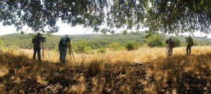 צוות ניטור דורסים בניטור יער משמר העמק. צילום: אניל זאהר