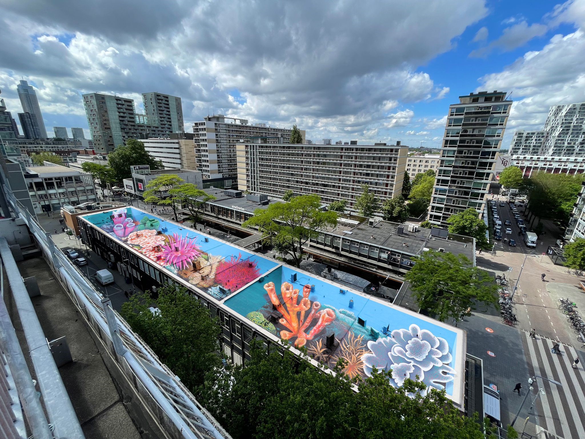 ציורים עצומים על גגות רוטרדם. באדיבות עמותת Rotterdamse Dakendagen