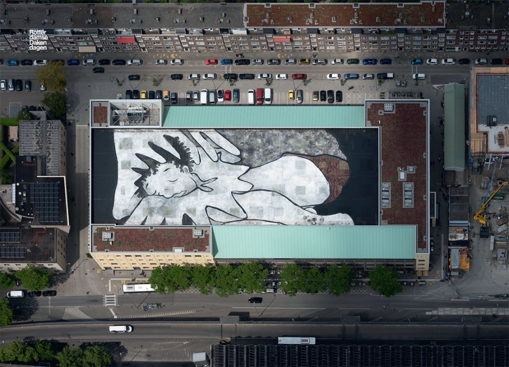 ציורים עצומים של ענקים ישנים על גגות רוטרדם. באדיבות עמותת Rotterdamse Dakendagen 2