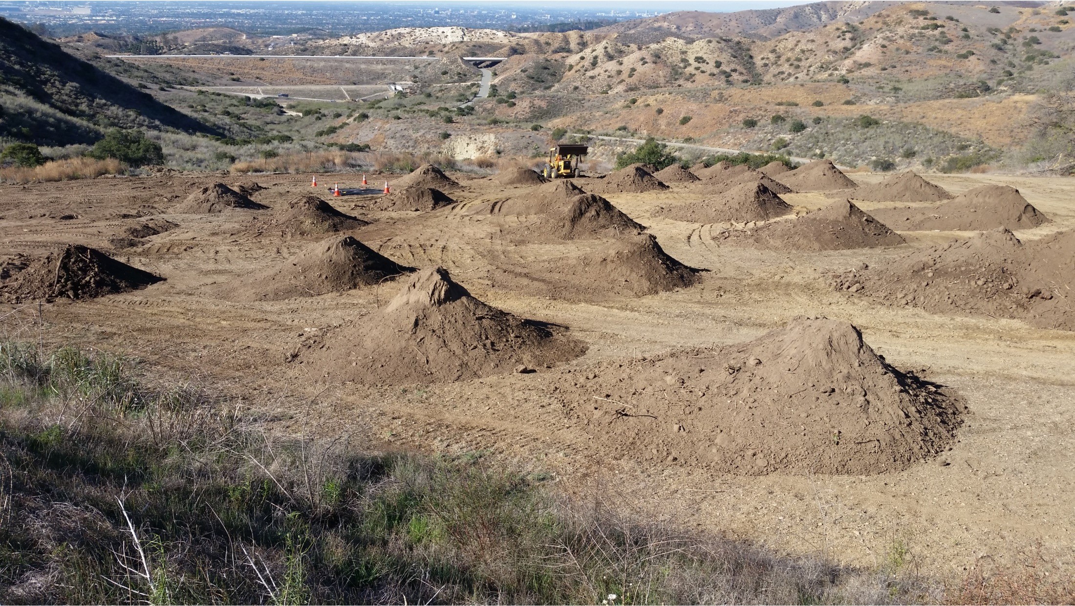 הכנת קרקע לקבלת השתלת אדמה, דרום קליפורניה. צילום: Ignacio Santa-Regina, Irnasa-CSIC