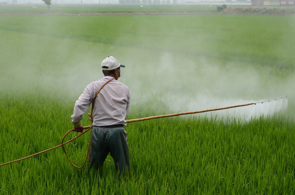 herbicide, farmer, in rice field
