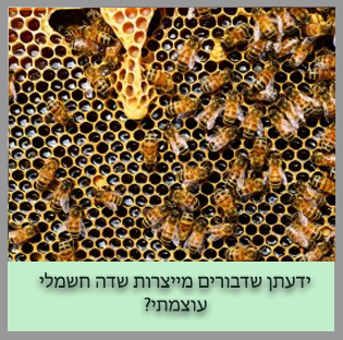 כפתור דבורים מחשמלות