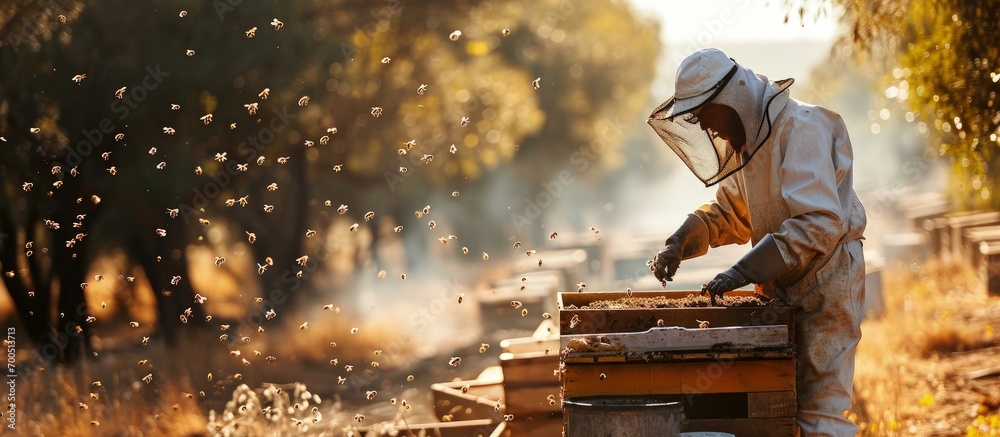 beekeeping-or-apiculture-care-of-the-bees-working-hand-on-honey-apiary ...