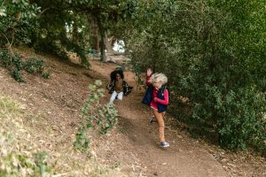 ילדים רצים ביער. צילום:pexels-rdne