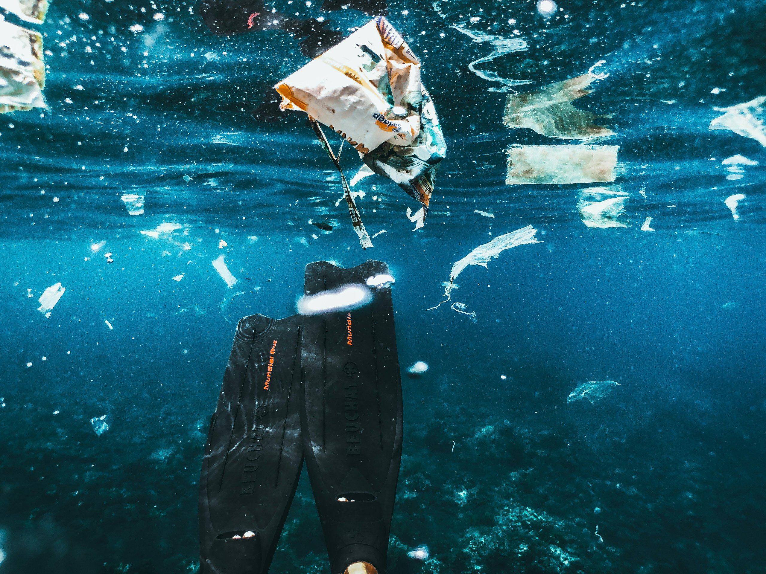 שחיה במים עם פסולת. צילום: Unsplash