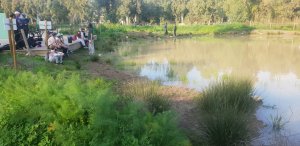 ראש ציפור, פארק הירקון. צילום: ליאב שלם, חברת גני יהושוע, תל אביב-יפו