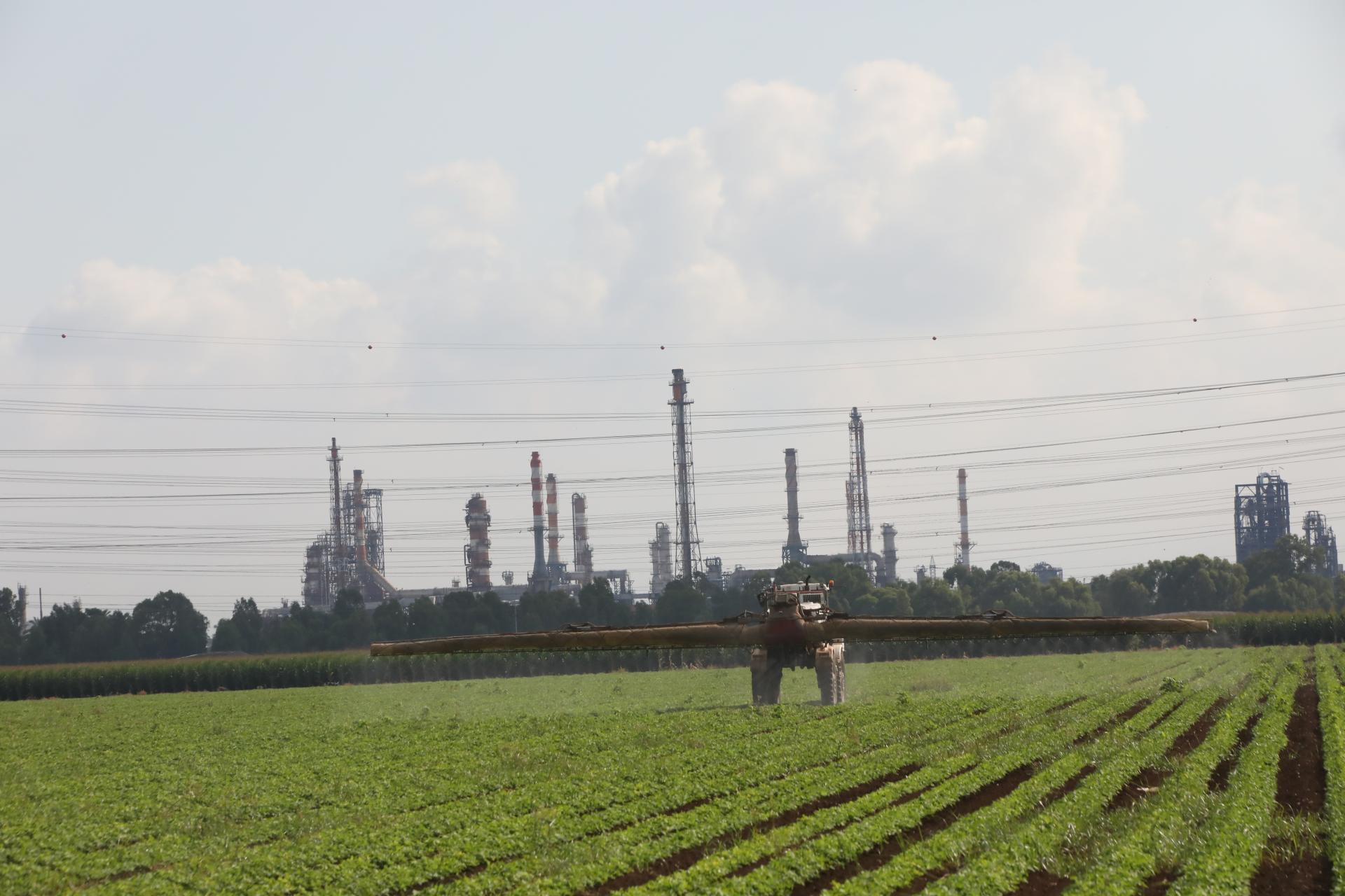 השקיה בחקלאות. צילום: יוסי זמיר, שתיל סטוק