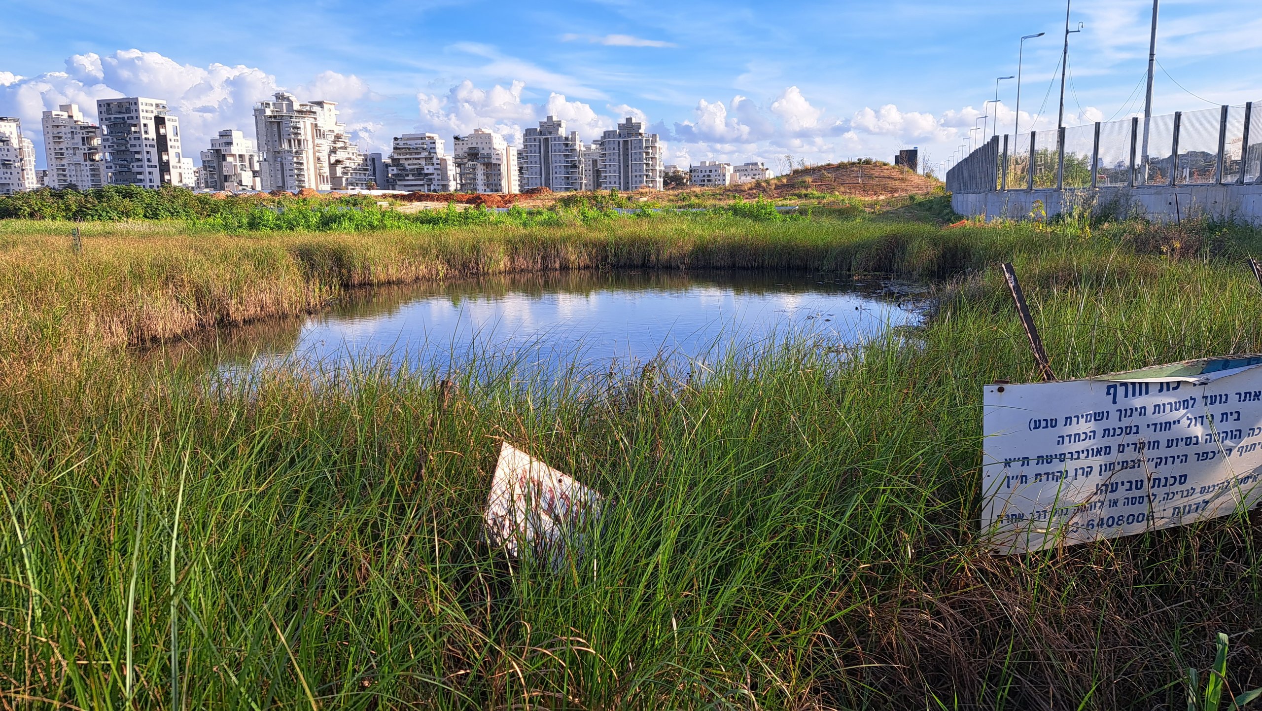 בריכת נווה גן. צילום: ד"ר שרה אוחיון