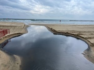 חוף טרומפלדור בתל אביב. צילום: נדב דסברג, צלול