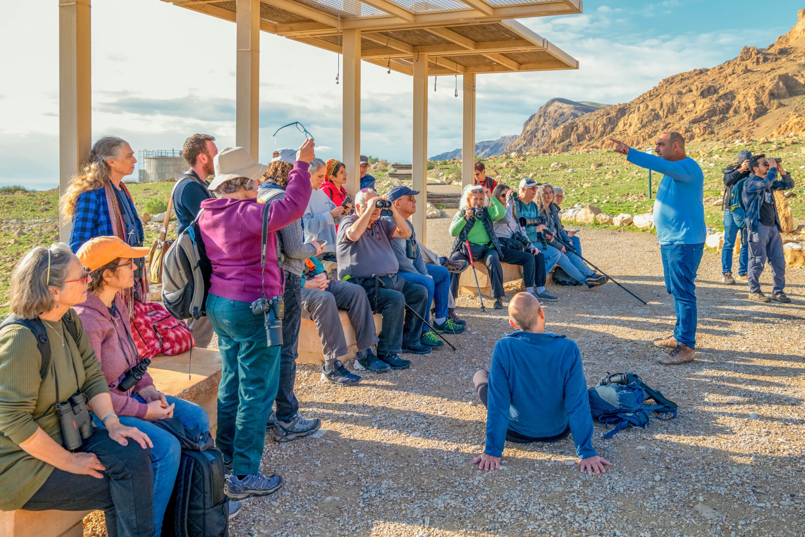 כנפי קק"ל: צפרות מבוגרים במדבר יהודה. צילום: בוני שיינמן, ארכיון הצלמים של קק"ל