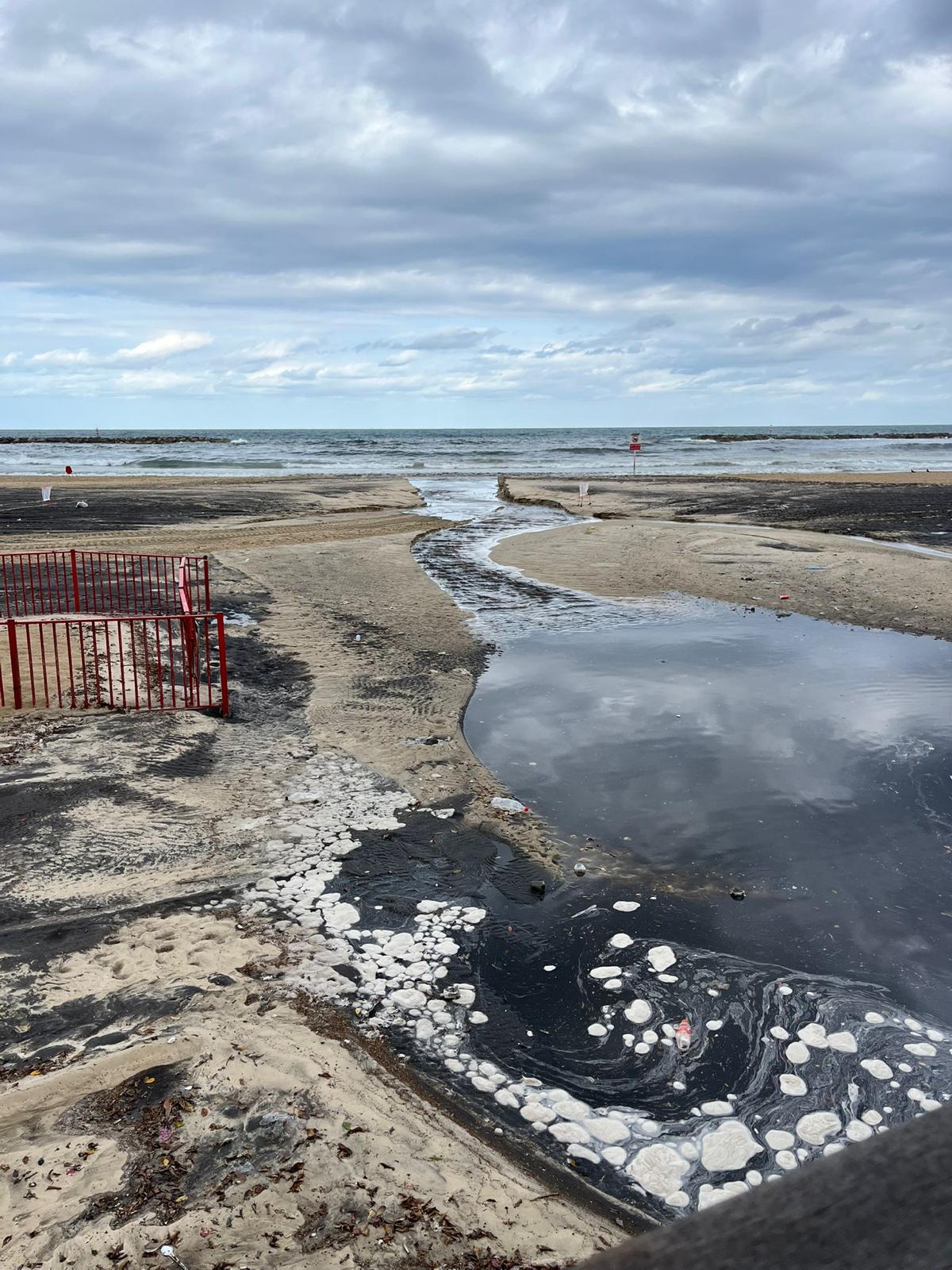 נגר מזוהם זורם לים בתל אביב. צילום: נדב דסברג, צלול