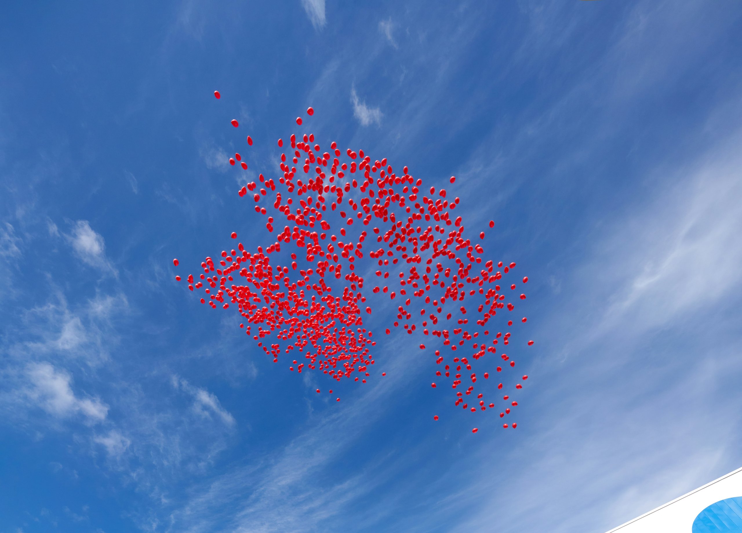 בלונים בשמיים. צילום: Unsplash