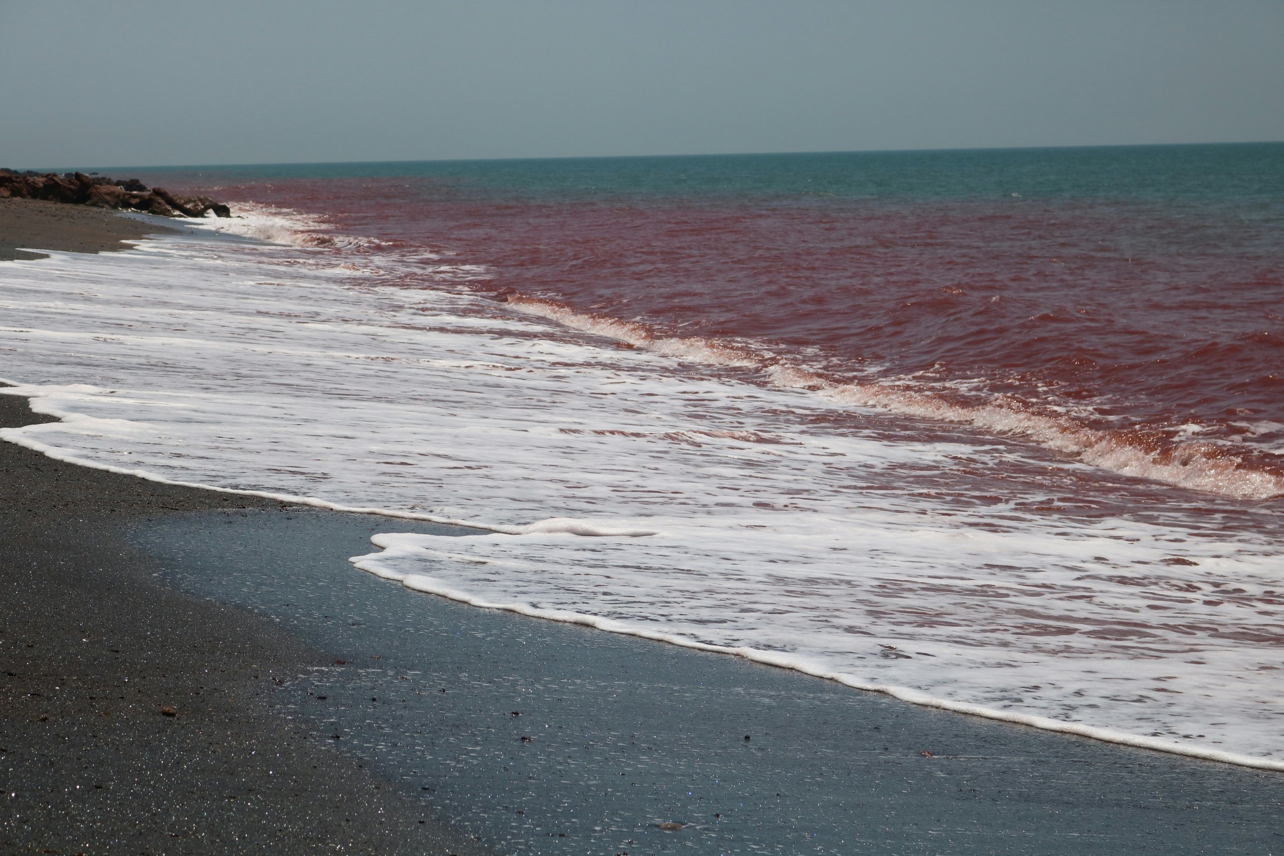הורמוז. צילום: Unsplash