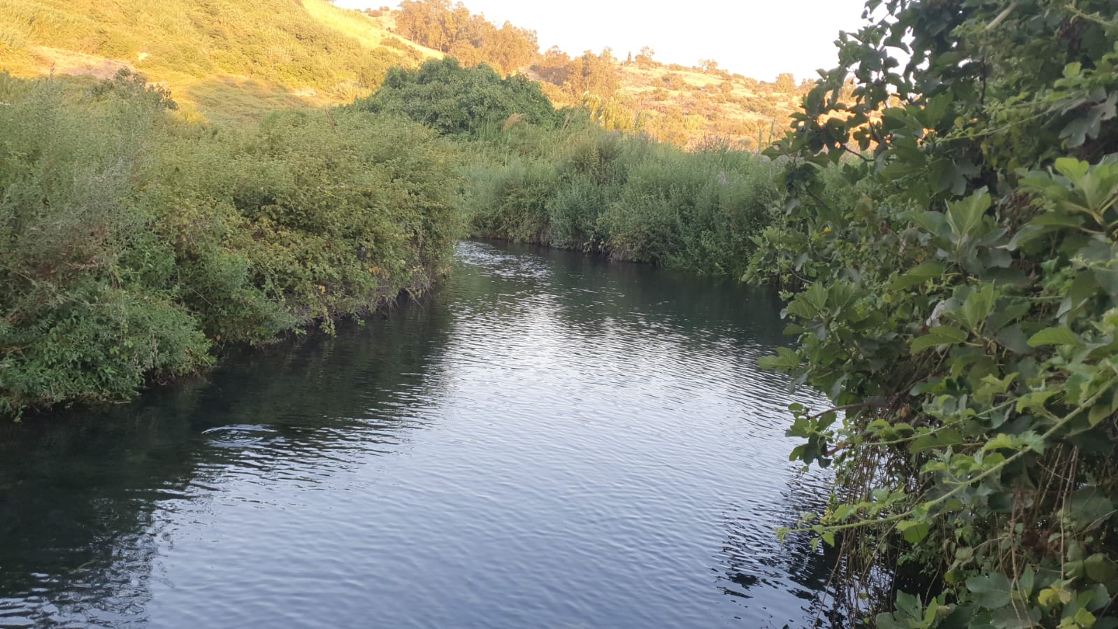 עין תינה, דוגמה למעיין דופן. צילום: עידן ברנע, החברה להגנת הטבע